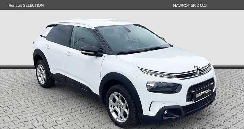 Citroen C4 Cactus cena 49900 przebieg: 135163, rok produkcji 2019 z Ustroń małe 352